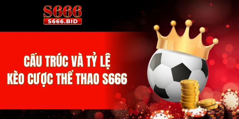 Cấu trúc và tỷ lệ kèo cược thể thao S666