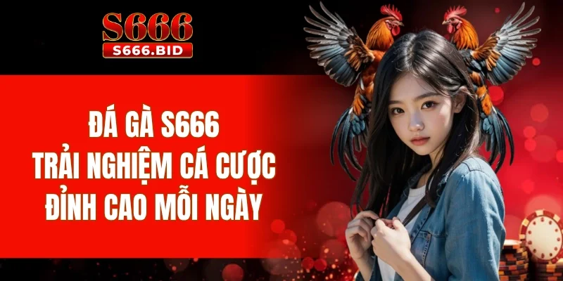 Đá gà s666 trực tiếp từ trường gà Thomo