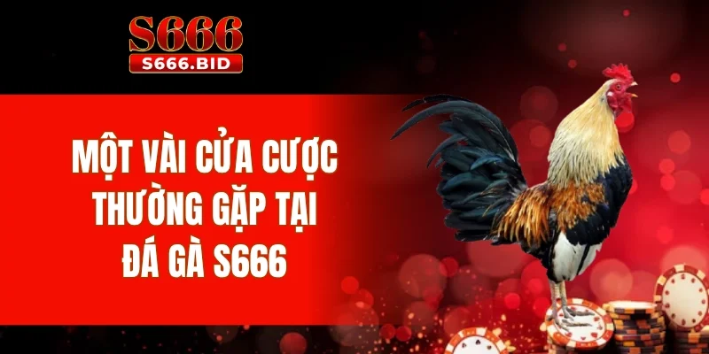 Một vài cửa cược thường gặp tại đá gà S666