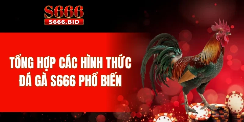Tổng hợp các hình thức đá gà S666 phổ biến